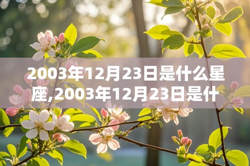 2003年12月23日是什么星座,2003年12月23日是什么星座?