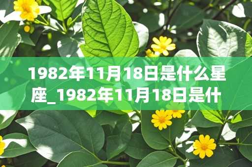 1982年11月18日是什么星座_1982年11月18日是什么星座阴历