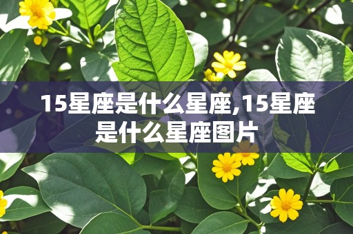 15星座是什么星座,15星座是什么星座图片