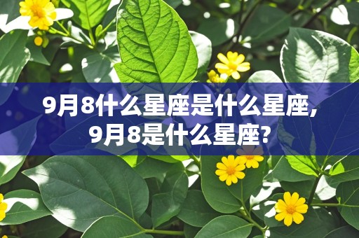 9月8什么星座是什么星座,9月8是什么星座?