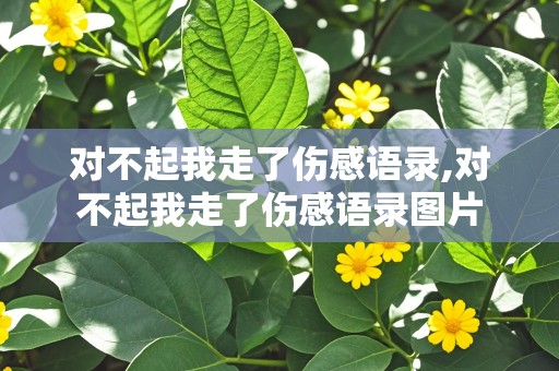 对不起我走了伤感语录,对不起我走了伤感语录图片