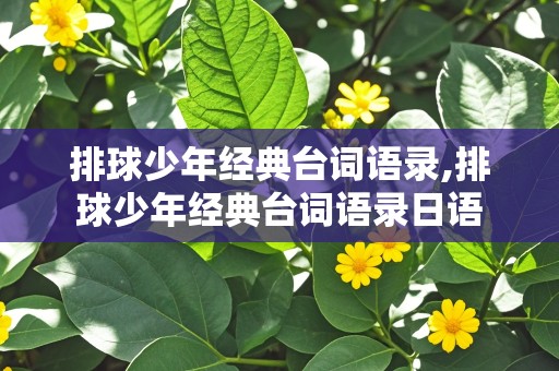 排球少年经典台词语录,排球少年经典台词语录日语