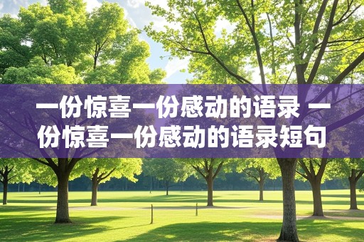 一份惊喜一份感动的语录 一份惊喜一份感动的语录短句