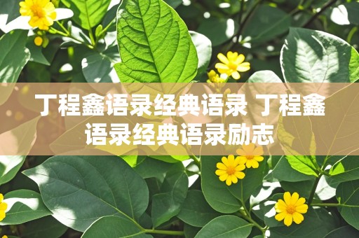 丁程鑫语录经典语录 丁程鑫语录经典语录励志