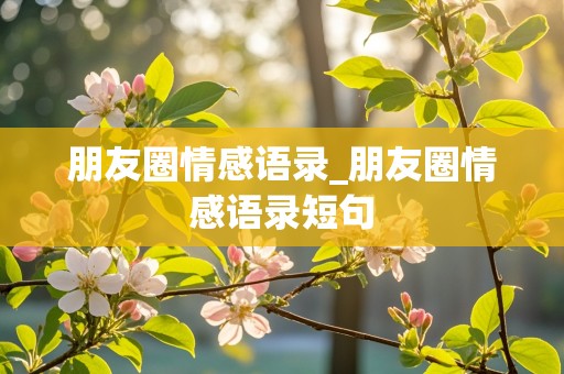 朋友圈情感语录_朋友圈情感语录短句