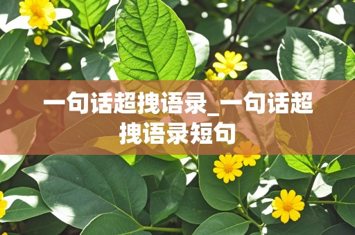 一句话超拽语录_一句话超拽语录短句