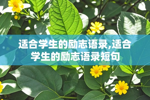 适合学生的励志语录,适合学生的励志语录短句