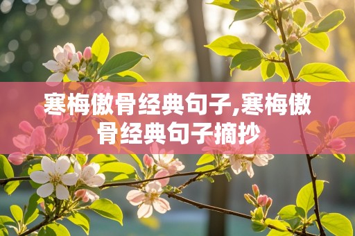 寒梅傲骨经典句子,寒梅傲骨经典句子摘抄