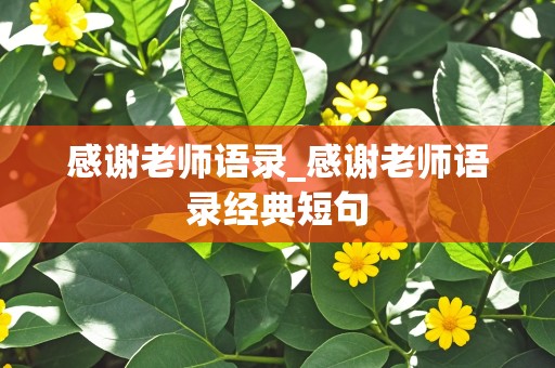 感谢老师语录_感谢老师语录经典短句