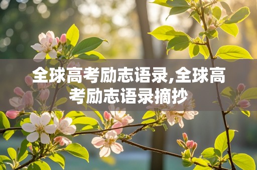 全球高考励志语录,全球高考励志语录摘抄