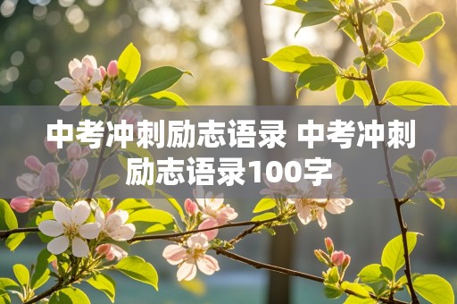 中考冲刺励志语录 中考冲刺励志语录100字