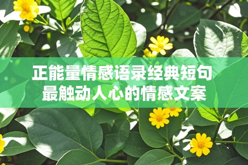 正能量情感语录经典短句 最触动人心的情感文案