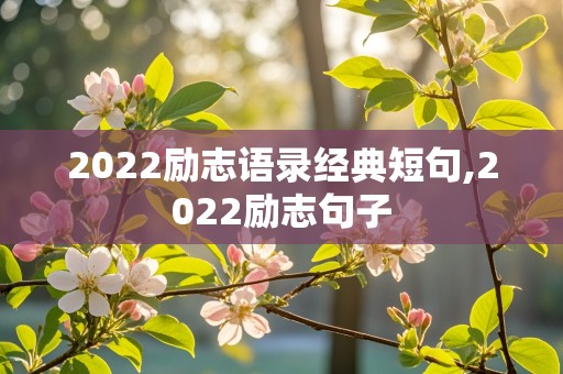 2022励志语录经典短句,2022励志句子