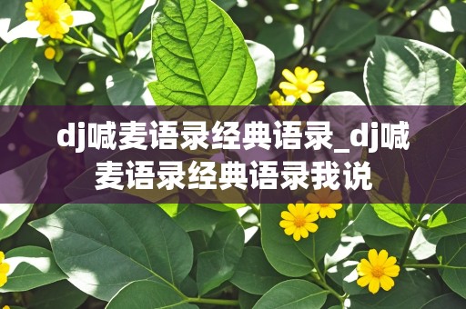 dj喊麦语录经典语录_dj喊麦语录经典语录我说