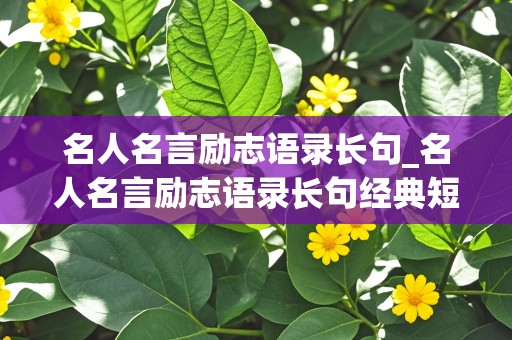 名人名言励志语录长句_名人名言励志语录长句经典短句