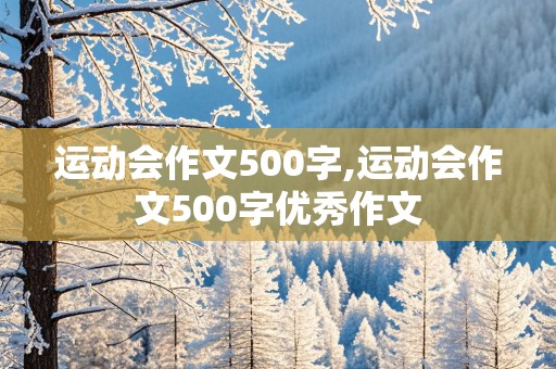 运动会作文500字,运动会作文500字优秀作文