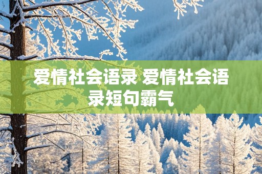 爱情社会语录 爱情社会语录短句霸气