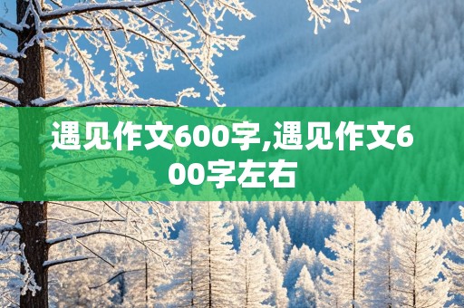 遇见作文600字,遇见作文600字左右