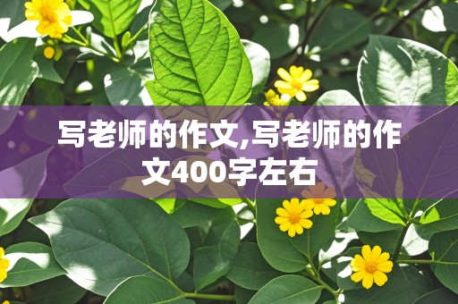 写老师的作文,写老师的作文400字左右