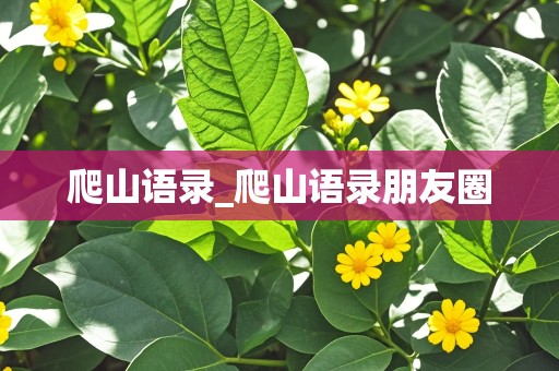 爬山语录_爬山语录朋友圈