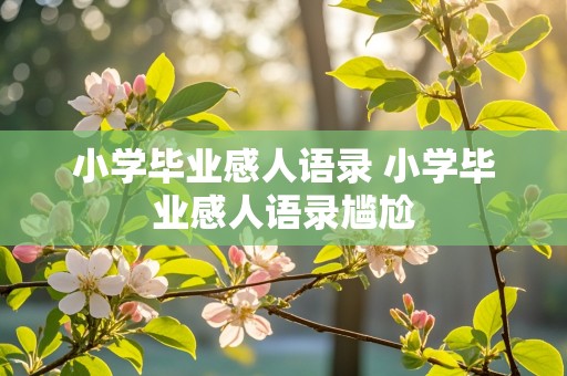 小学毕业感人语录 小学毕业感人语录尴尬