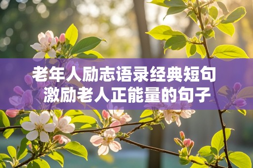 老年人励志语录经典短句 激励老人正能量的句子