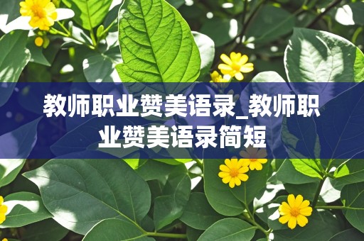 教师职业赞美语录_教师职业赞美语录简短