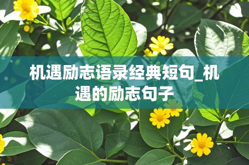 机遇励志语录经典短句_机遇的励志句子