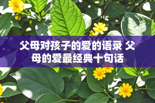 父母对孩子的爱的语录 父母的爱最经典十句话