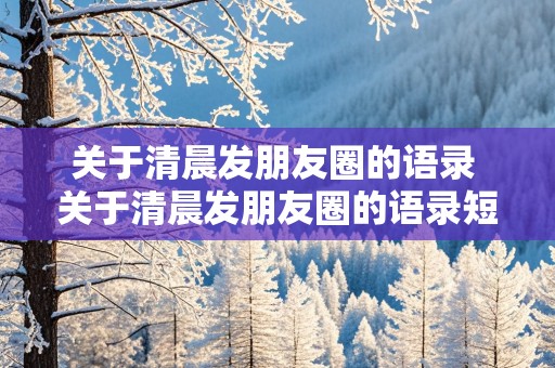 关于清晨发朋友圈的语录 关于清晨发朋友圈的语录短句