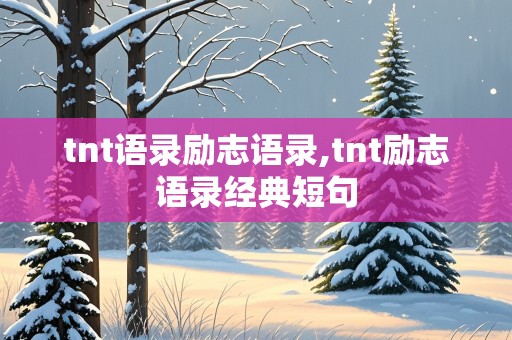 tnt语录励志语录,tnt励志语录经典短句