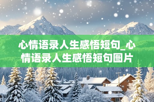 心情语录人生感悟短句_心情语录人生感悟短句图片