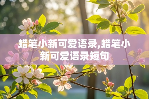 蜡笔小新可爱语录,蜡笔小新可爱语录短句