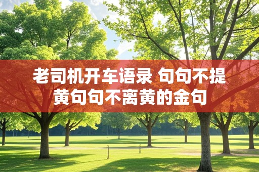 老司机开车语录 句句不提黄句句不离黄的金句