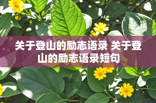 关于登山的励志语录 关于登山的励志语录短句