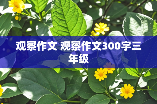 观察作文 观察作文300字三年级