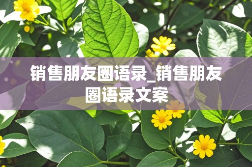 销售朋友圈语录_销售朋友圈语录文案