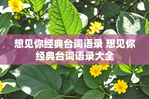 想见你经典台词语录 想见你经典台词语录大全