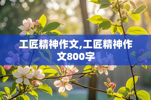 工匠精神作文,工匠精神作文800字