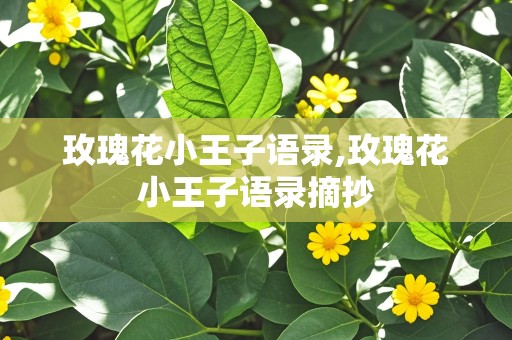 玫瑰花小王子语录,玫瑰花小王子语录摘抄