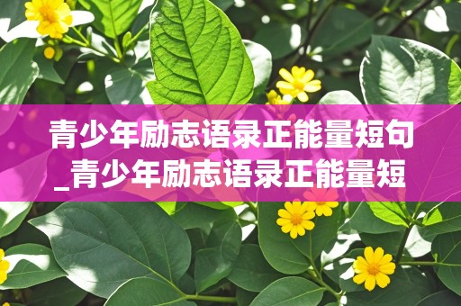 青少年励志语录正能量短句_青少年励志语录正能量短句图片