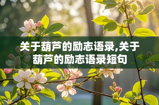 关于葫芦的励志语录,关于葫芦的励志语录短句