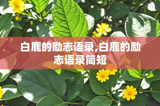 白鹿的励志语录,白鹿的励志语录简短