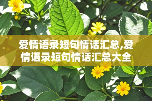 爱情语录短句情话汇总,爱情语录短句情话汇总大全