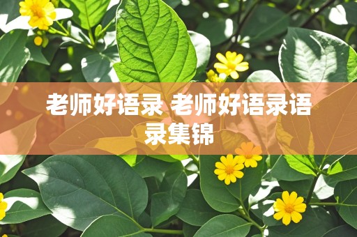 老师好语录 老师好语录语录集锦