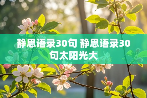 静思语录30句 静思语录30句太阳光大