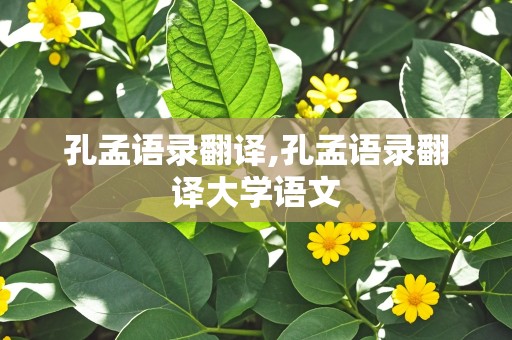 孔孟语录翻译,孔孟语录翻译大学语文