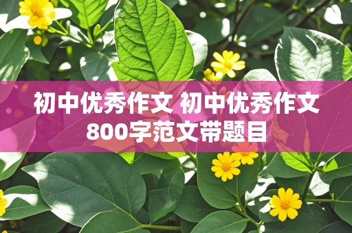 初中优秀作文 初中优秀作文800字范文带题目