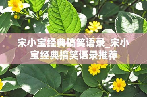 宋小宝经典搞笑语录_宋小宝经典搞笑语录推荐