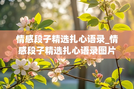 情感段子精选扎心语录_情感段子精选扎心语录图片